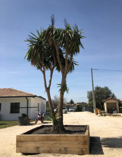 Entretien de jardin Nord Gironde