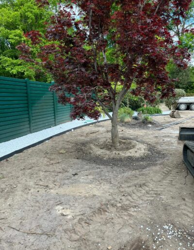 Amenagement exterieur Nord Gironde