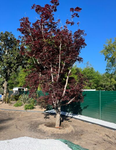 Amenagement exterieur Nord Gironde