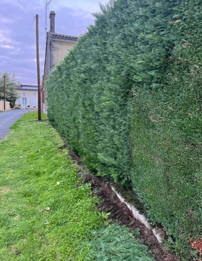 Entretien de jardin Nord Gironde