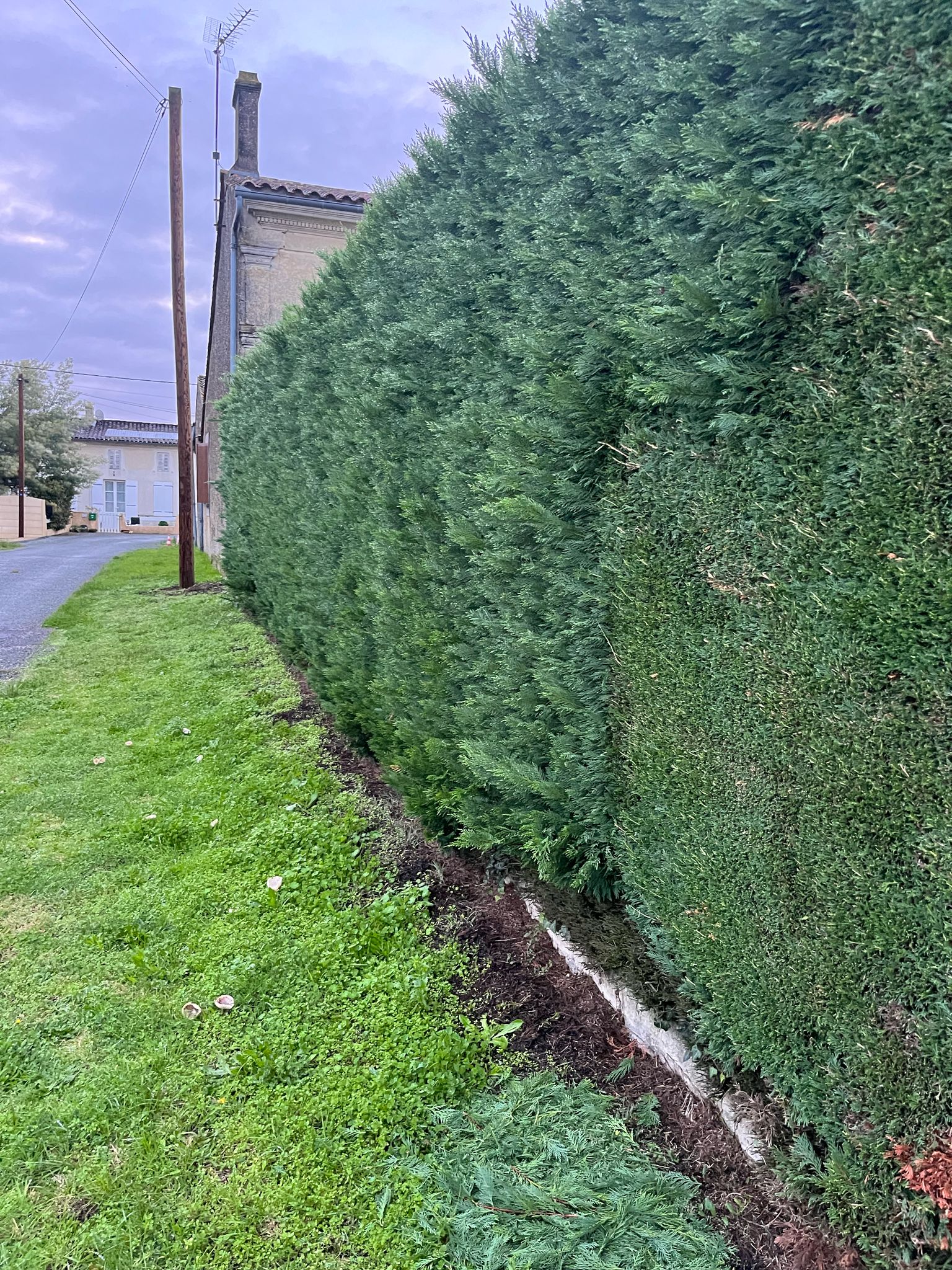 Entretien de jardin Nord Gironde