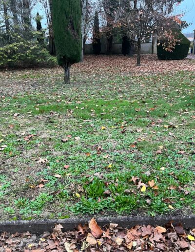Entretien de jardin Nord Gironde