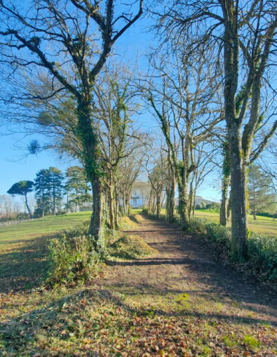 Amenagement exterieur Nord Gironde
