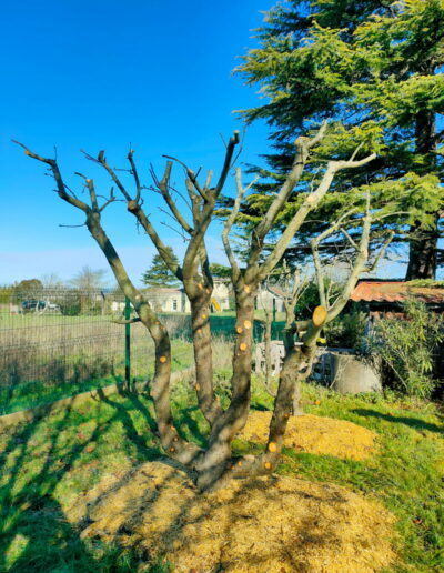 Amenagement exterieur Nord Gironde
