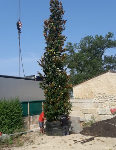 Entretien de jardin Nord Gironde
